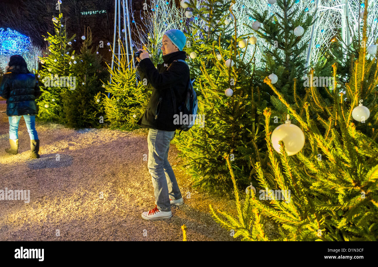 Parigi, Francia, scene di strada, le persone che si godono le luci di Natale, decorazioni, alberi, agli Champs-Elysees, di notte, uomo di scattare le foto Foto Stock
