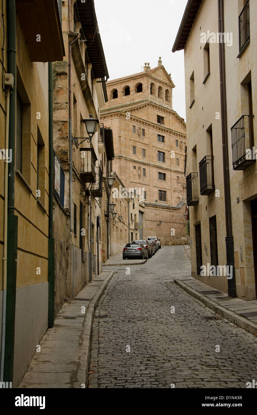 Vista sulla strada del centro storico di Salamanca il giorno nuvoloso. Castiglia e León, Spagna. Foto Stock