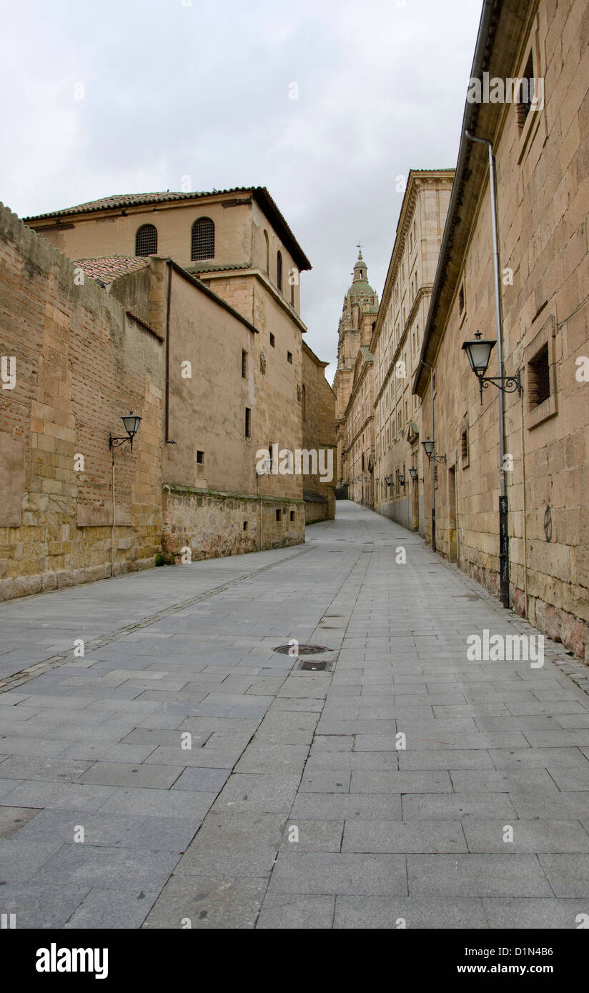 Salamanca, vista strada del centro storico di Salamanca il giorno nuvoloso. Castiglia e León, Spagna. Foto Stock