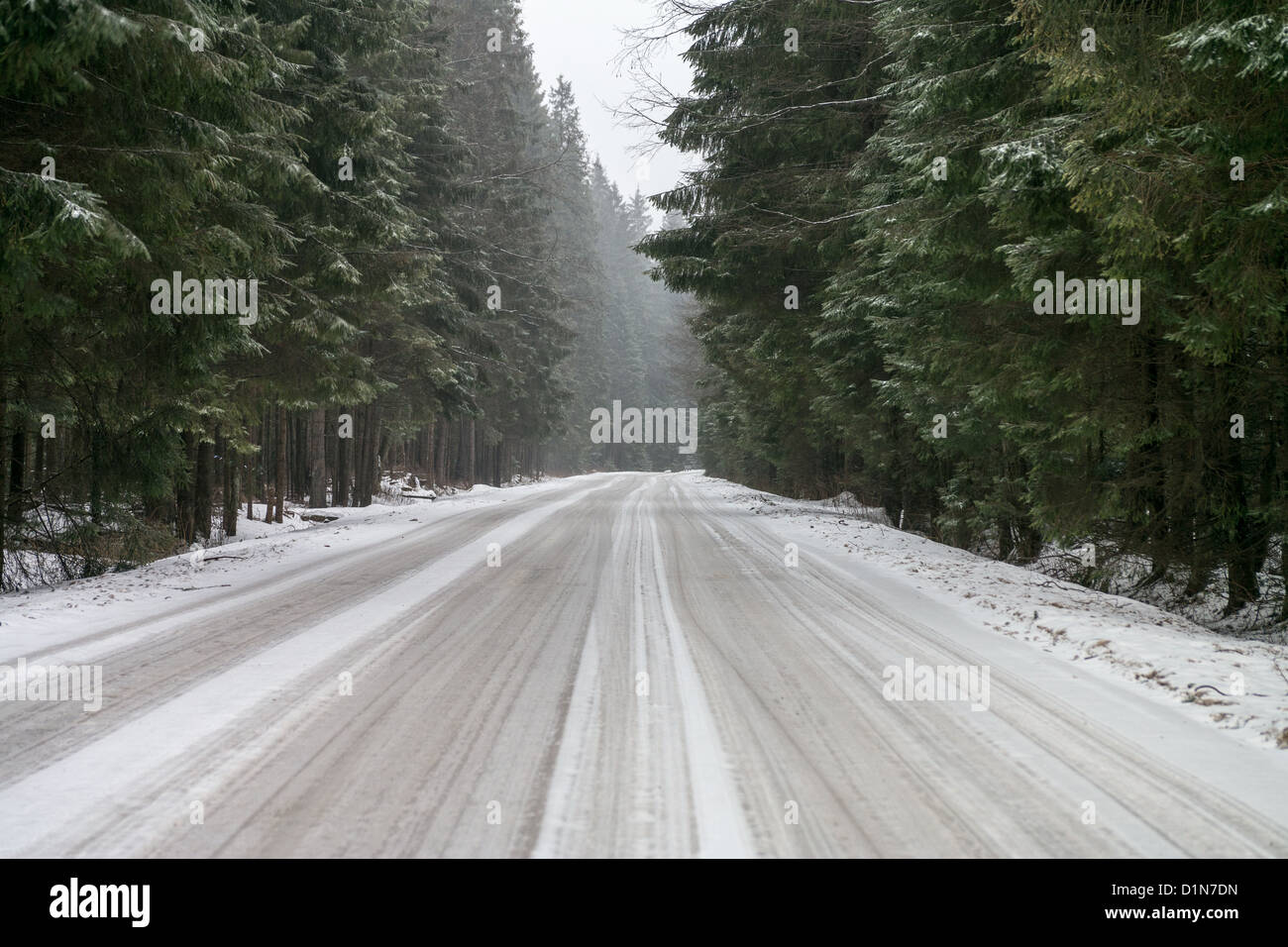 Strada nella foresta Foto Stock