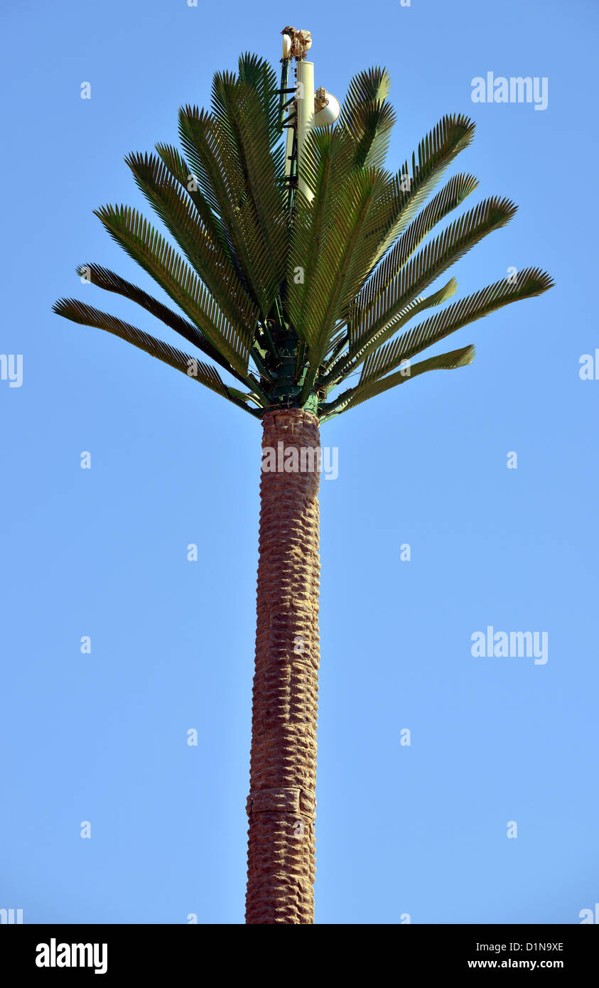 Mobile phone mast dissimulata come un albero di palma, telefono cellulare, montante, Egitto Foto Stock