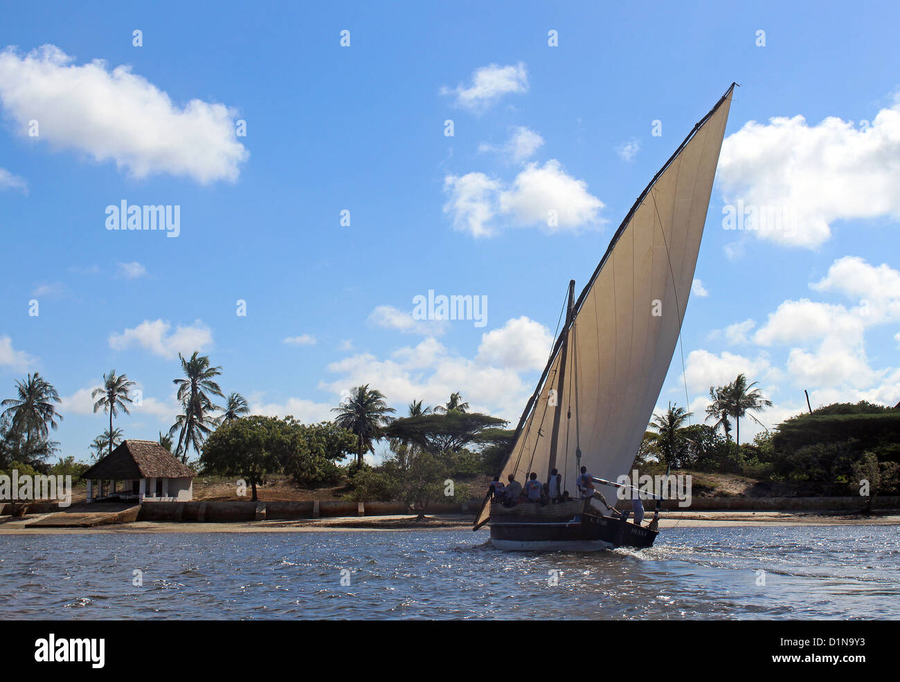 Barca a vela sull'arcipelago di Lamu, isola di Lamu, Kenya, Africa orientale Foto Stock