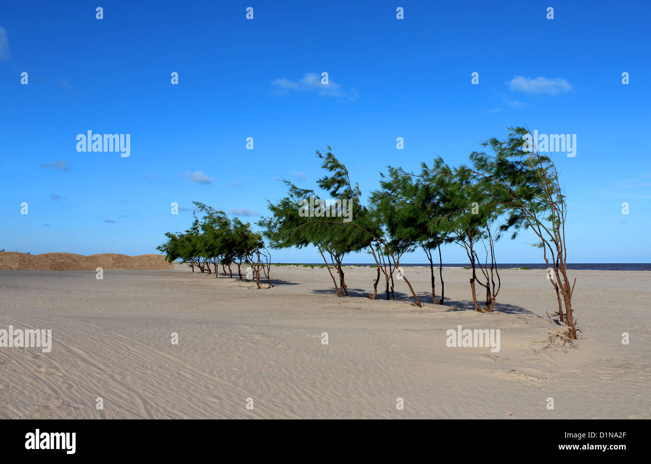 Kenya Beach Ocean Beach Resort, Malindi in Kenya, Africa Foto Stock