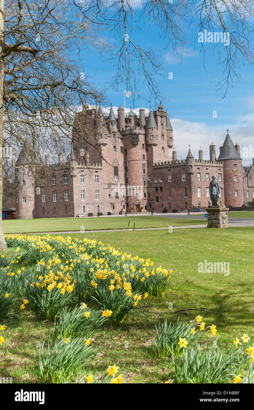 Glamis Castle con narcisi Angus Scozia Scotland Foto Stock