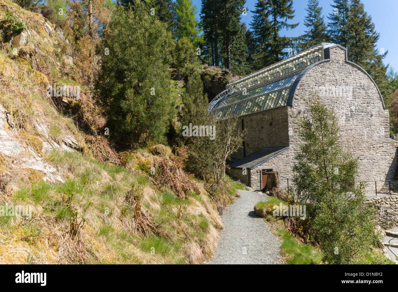 Fernery Benmore Gardens nr Dunoon Argyll & Bute Scozia Scotland Foto Stock