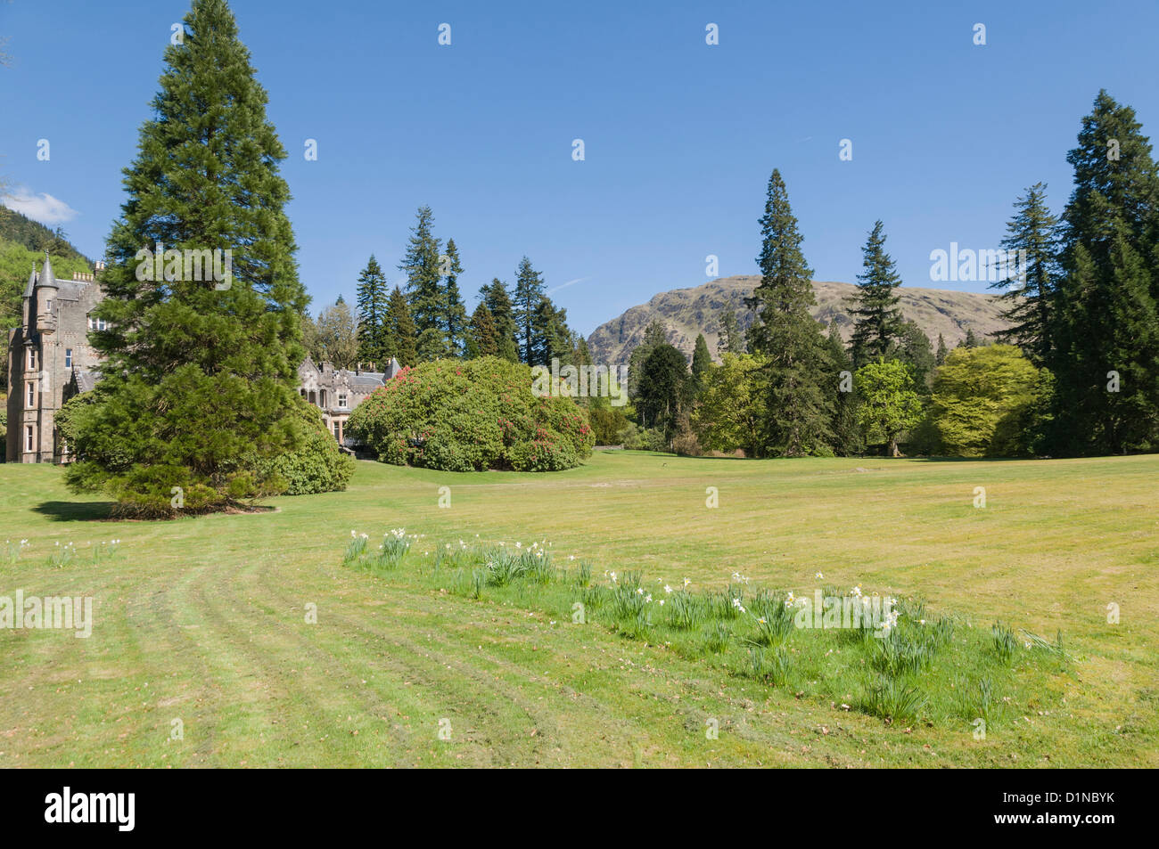 Benmore House & Benmore Gardens nr Dunoon Argyll & Bute Scozia Scotland Foto Stock