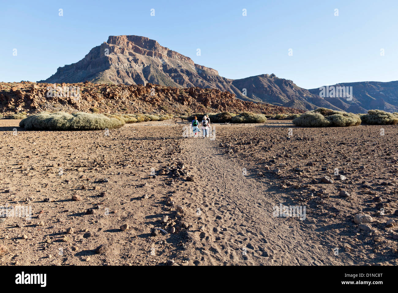 Passeggiate nel Las Canadas del Parco Nazionale del Teide Tenerife, Montana Guajara in background, Tenerife, Isole Canarie Foto Stock
