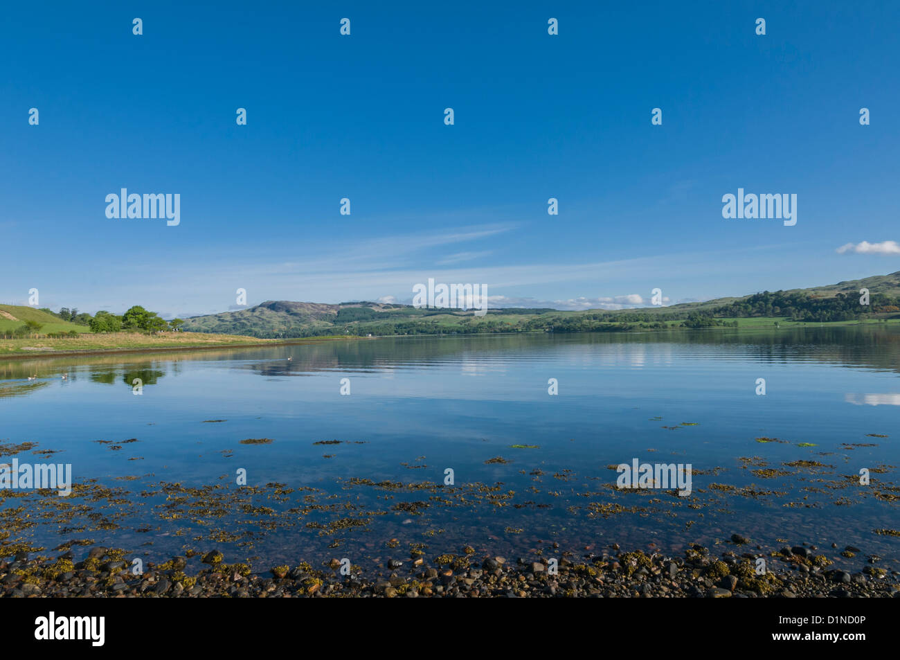 Riflessioni Linne Na Craige Loch Etive Achnacloich nr Connel Argyll & Bute Scozia Scotland Foto Stock