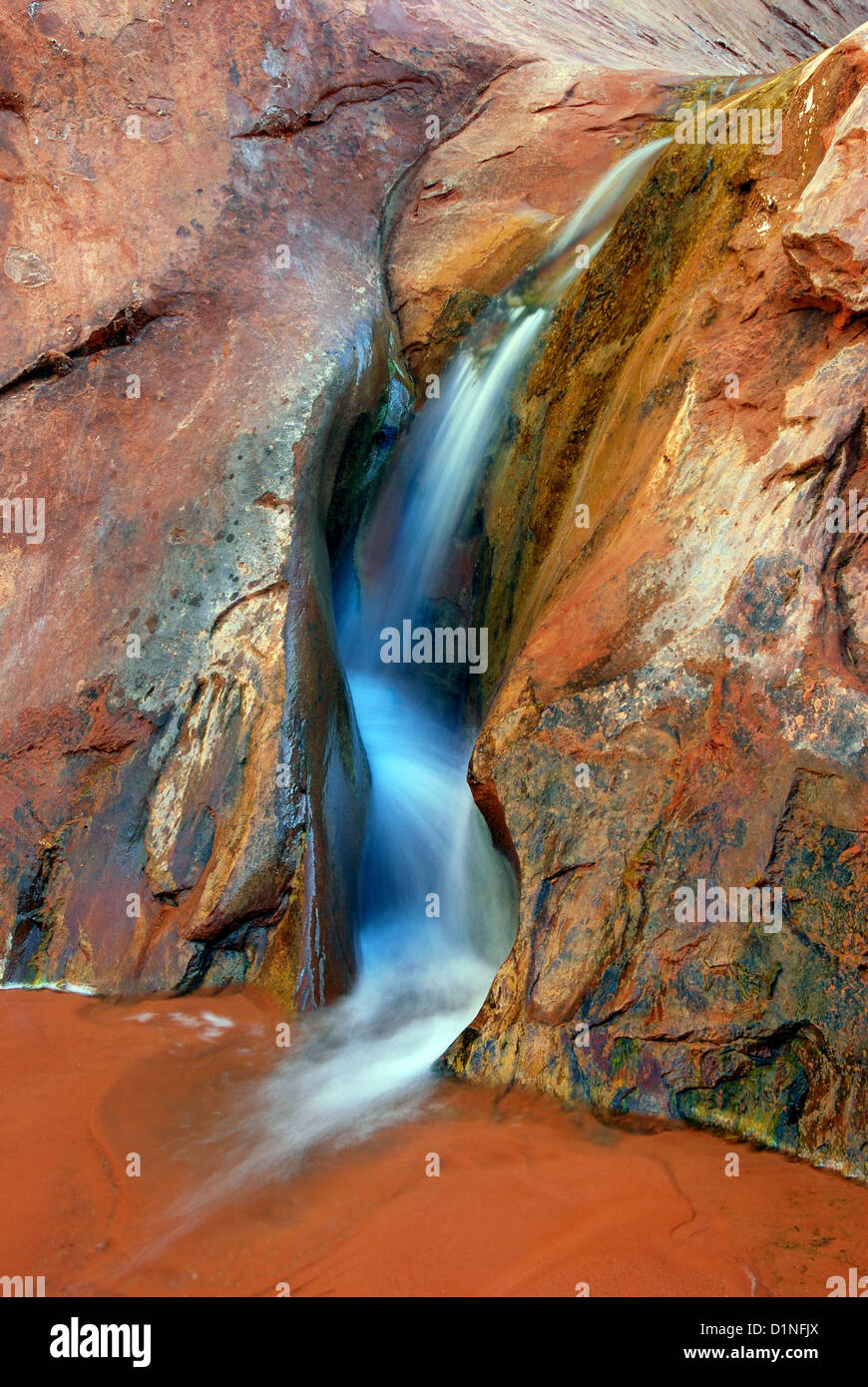 Piccolo ruscello cascading su una battuta di arenaria in Davis Gulch, Utah. Foto Stock