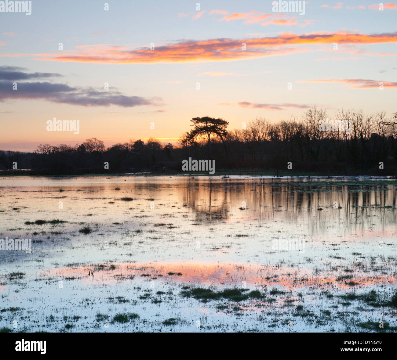 Holmebridge vicino a Wareham Dorset, Regno Unito. Il 1 gennaio 2013. Campi nei pressi del villaggio di Oriente Holme continuare a guardare come un lago dopo un'altra settimana di pioggia pesante, come il vicino fiume Frome inondazioni ancora una volta. Credito: Eva Worobiec / Alamy Live News Foto Stock