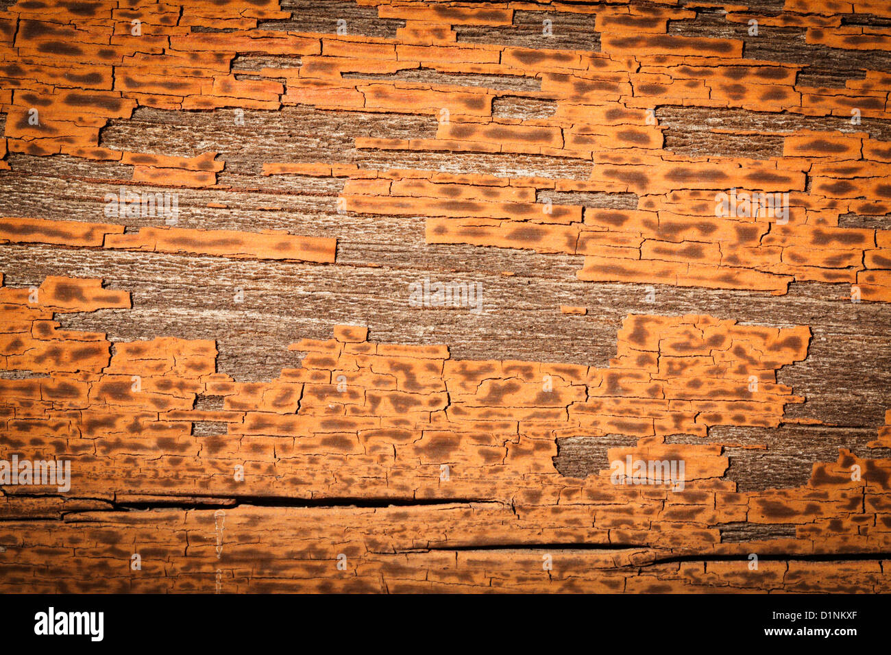 Alcuni vecchi rivestimenti in legno che mostra marrone rossiccio e pareti scrostate. Foto Stock