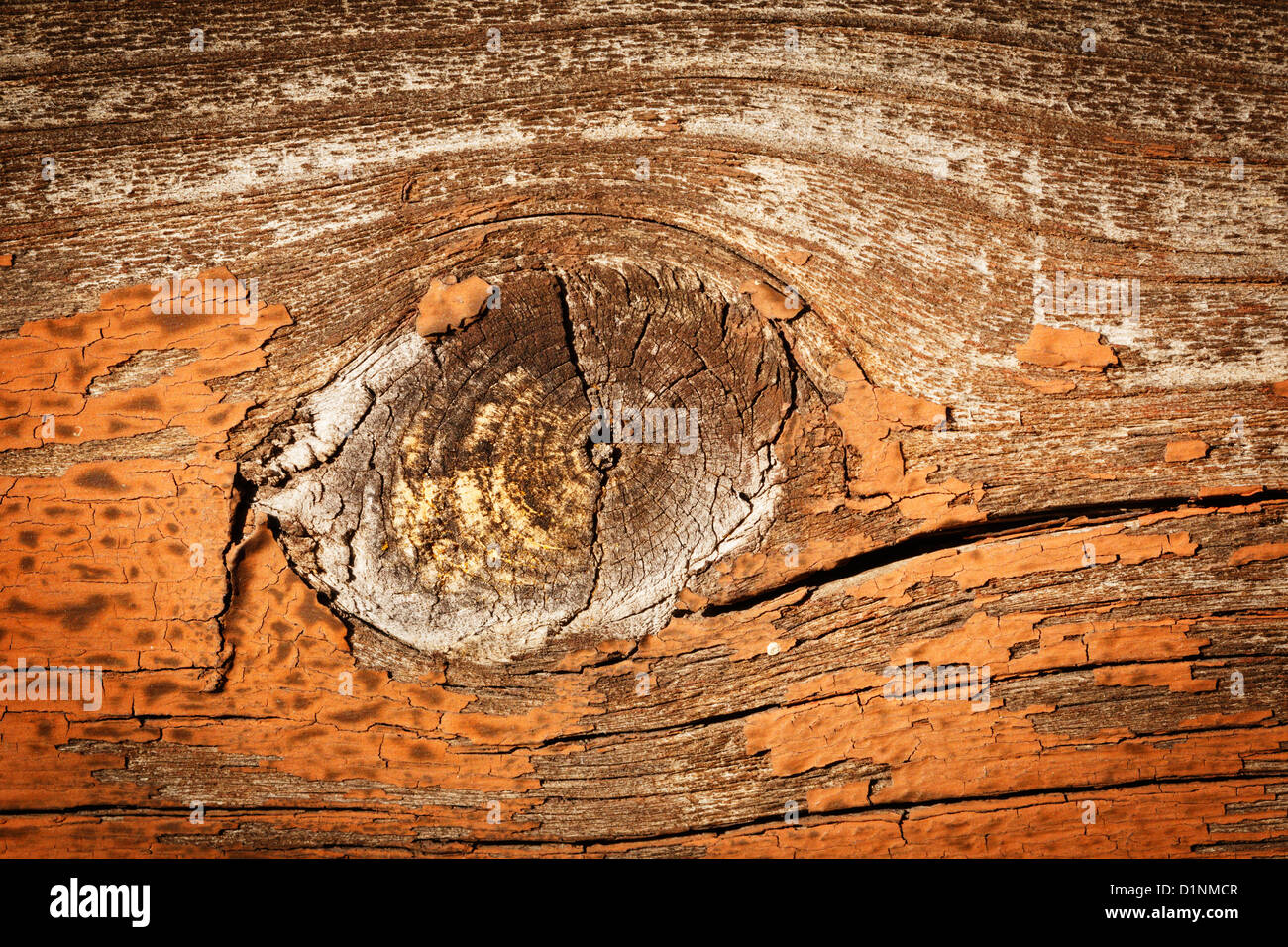 Vecchio legno stagionato schierata che mostra un nodo. Foto Stock