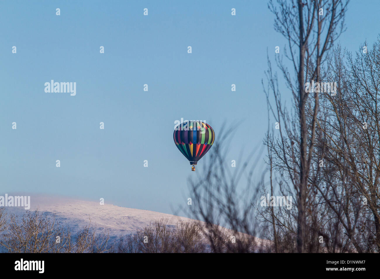 Un giorno di nuovi anni Balloon ride in Fernley Nevada 2013 Foto Stock