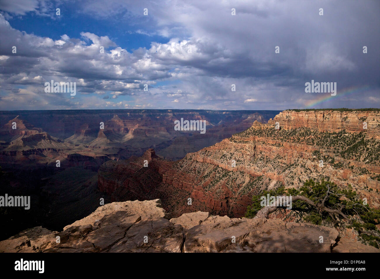 Maltempo su South Kaibab Trail, South Rim, il Parco Nazionale del Grand Canyon, Arizona, Stati Uniti d'America Foto Stock