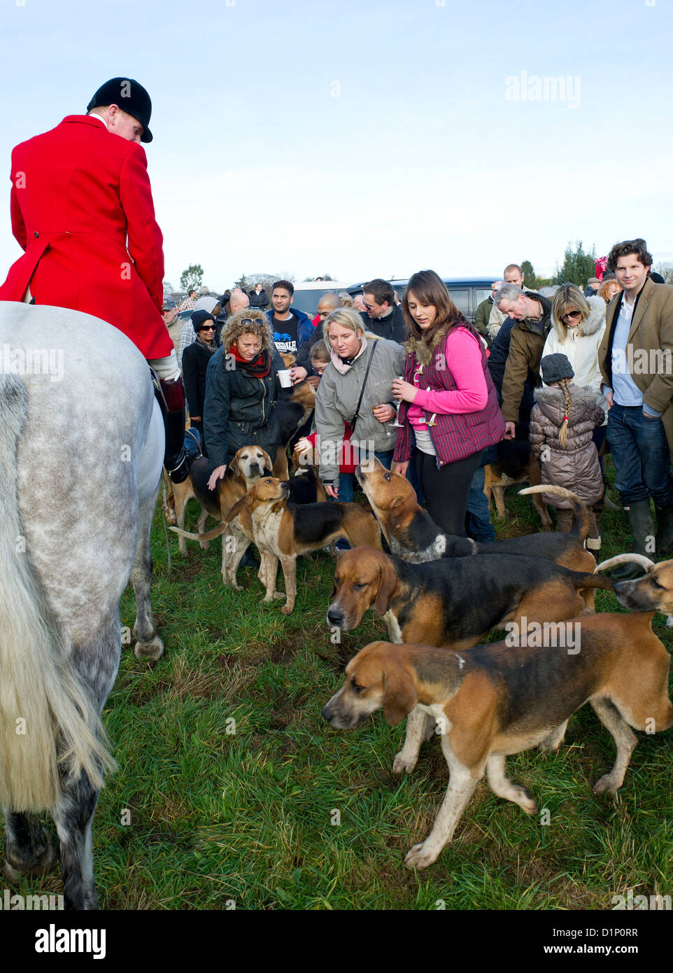 La caccia alla volpe alla caccia alla volpe - La caccia di Essex e sostenitori di suoneria al tradizionale Boxing Day si incontrano. Foto Stock