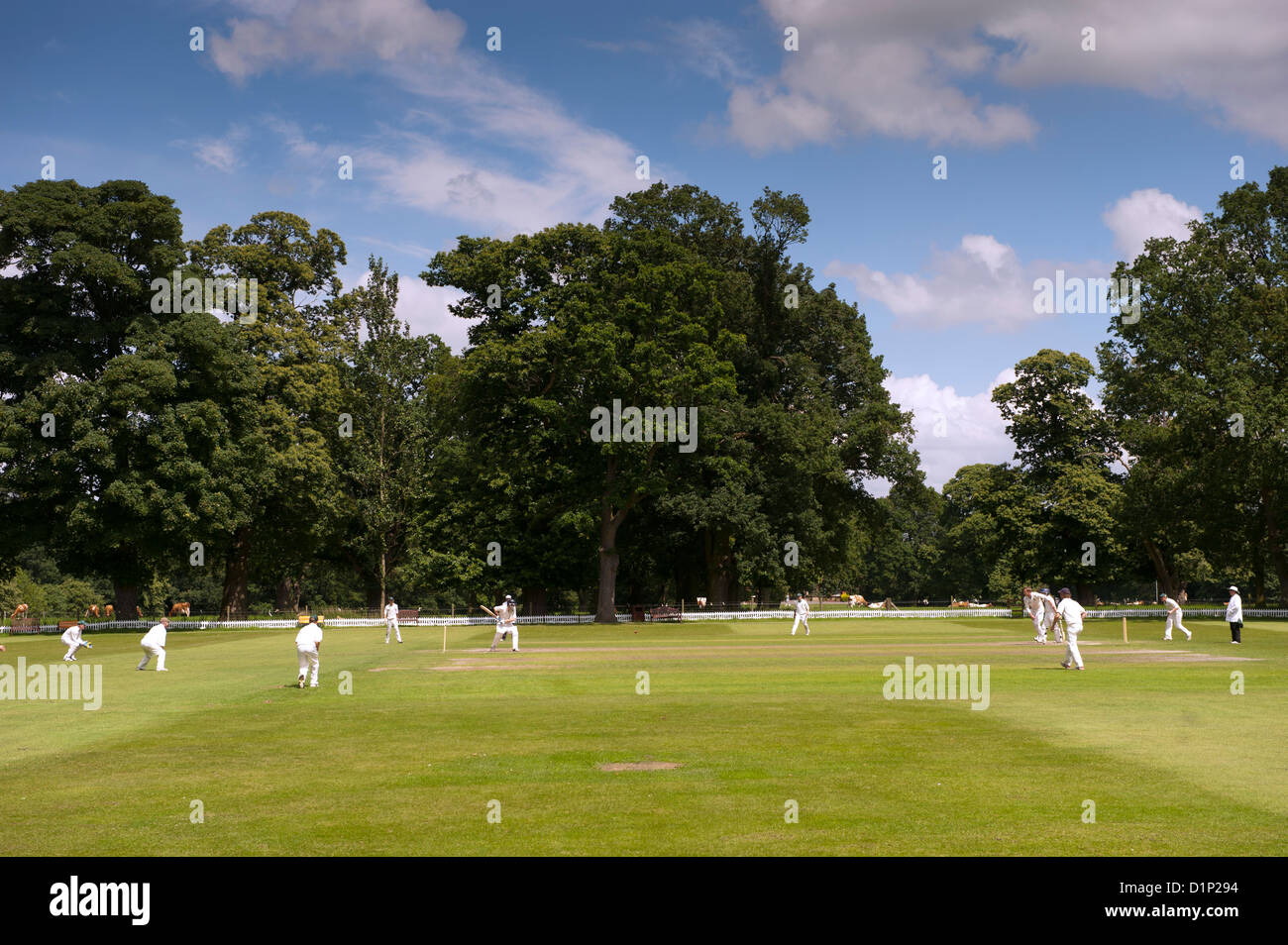 Gioco di cricket su un pomeriggio estati in un villaggio inglese. Foto Stock