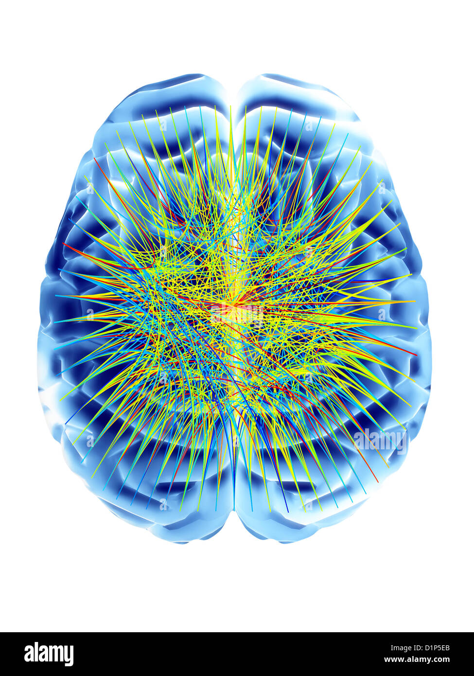 Cervello e circolare diagramma di rete Foto Stock