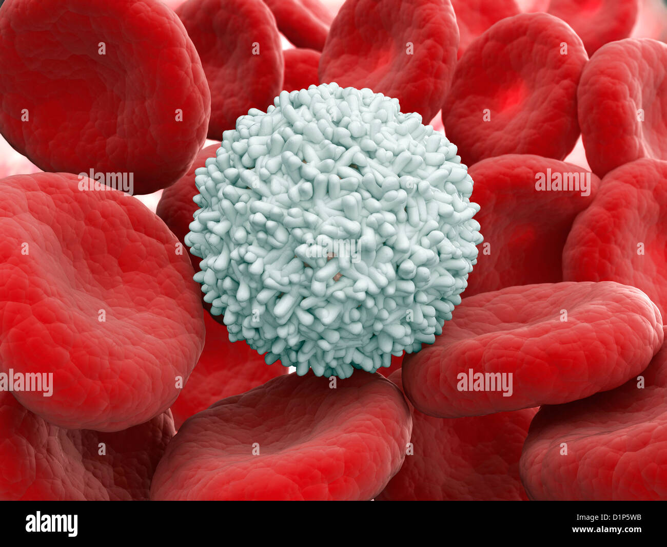 Le cellule del sangue, artwork Foto Stock