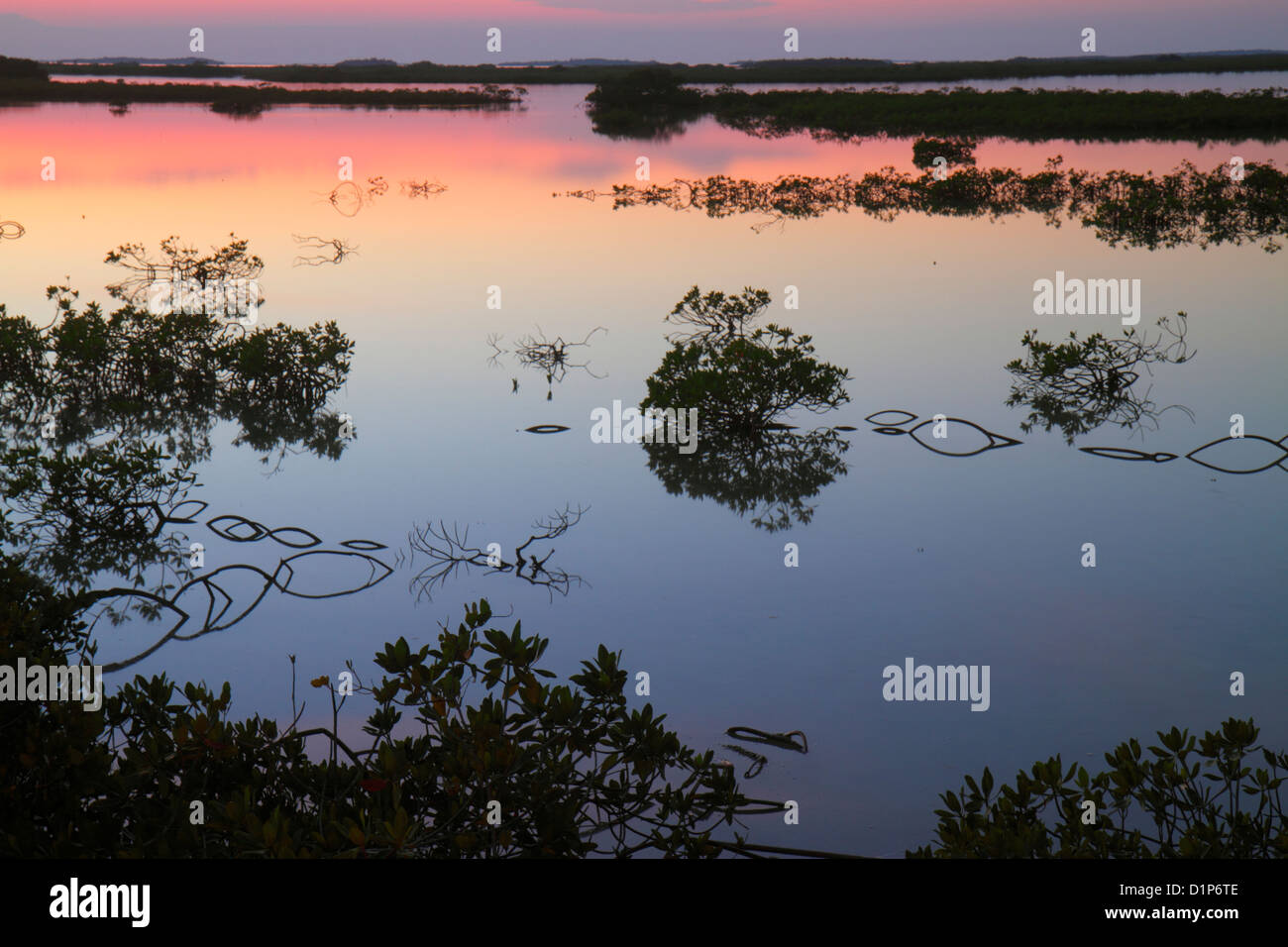 Florida Keys, US Highway Route 1 One, Overseas Highway, Key West, SaddleBunch Keys, mangrovie, acqua, Golfo del Messico Coast, crepuscolo, tramonto, panoramico, naturale, FL121125 Foto Stock