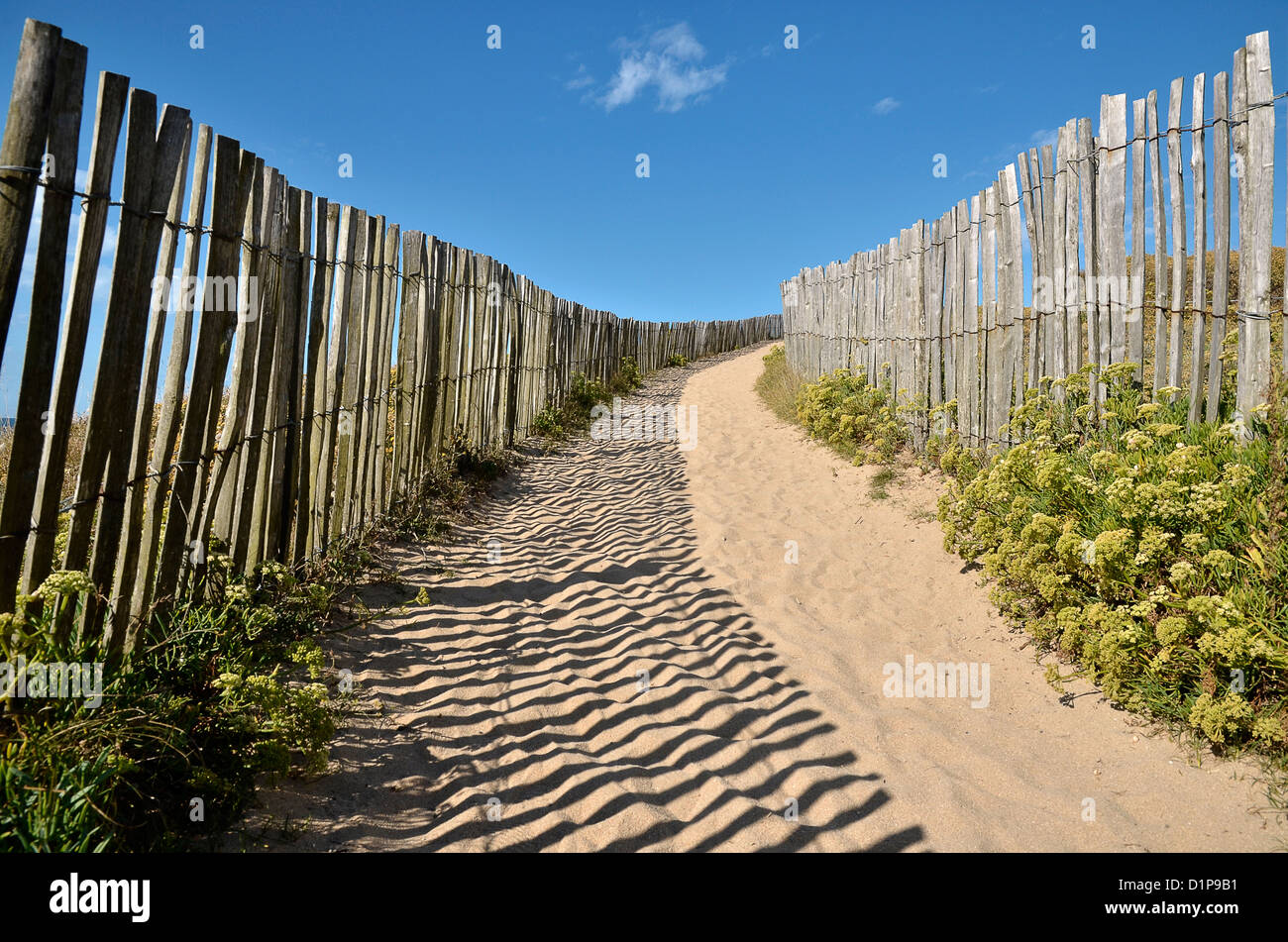 Percorso di sabbia nelle dune con legno di barriera sulla costa selvaggia della penisola di Quiberon nel dipartimento di Morbihan, in Bretagna Foto Stock