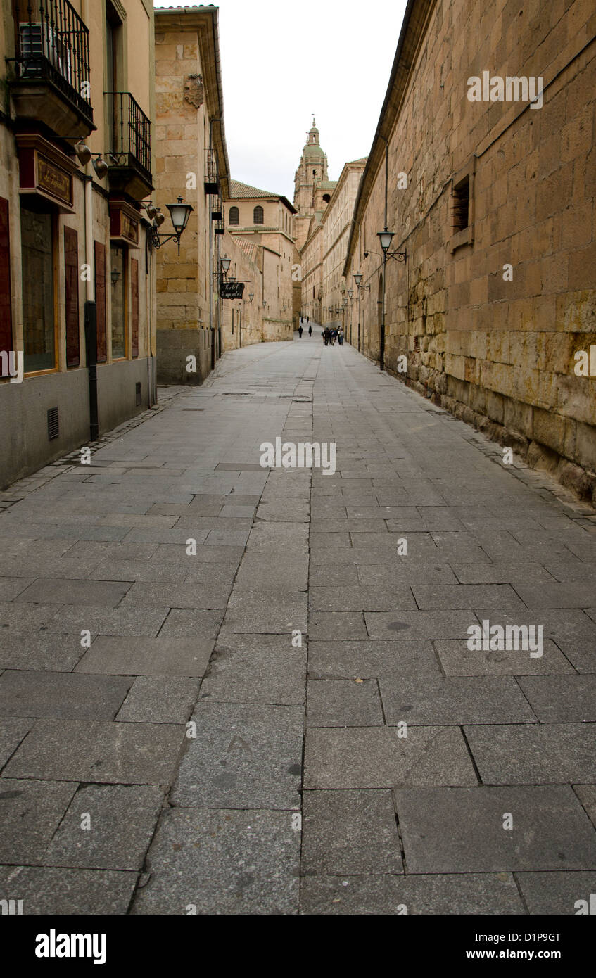 Salamanca, vista strada del centro storico di Salamanca il giorno nuvoloso. Castiglia e León, Spagna. Foto Stock