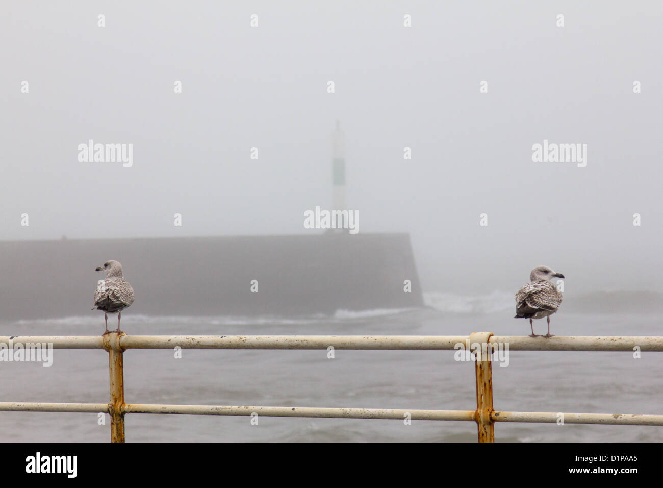 Aberystwyth, Galles, UK, 2 gennaio 2013. Il triste meteo sulla costa occidentale del Galles continua nel nuovo anno. In caso di forti piogge e inondazioni, il mare in tempesta, mid Wales coast è avvolta nella nebbia pesante. Credito: atgof.co / Alamy Live News Foto Stock