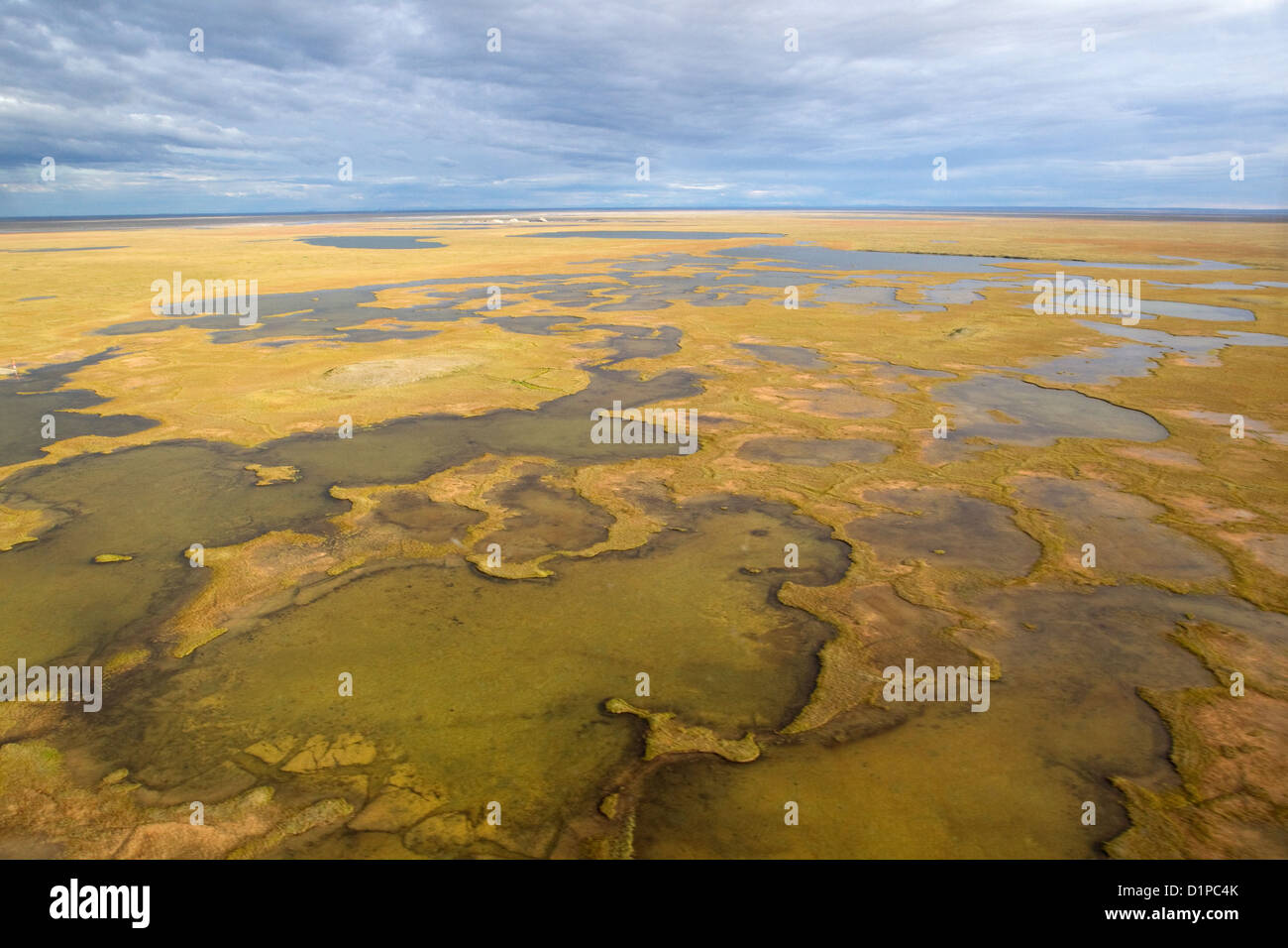 Alaska tundra artica di buche, vista aerea, Arctic paesaggio deserto Foto Stock