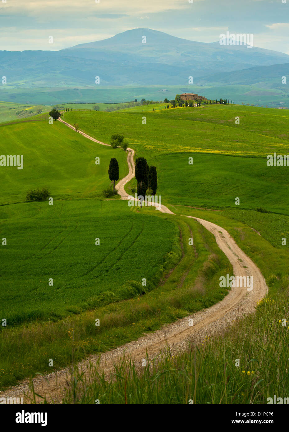 Avvolgimento di strada di campagna in Toscana, agriturismo in distanza, Pienza Italia Foto Stock
