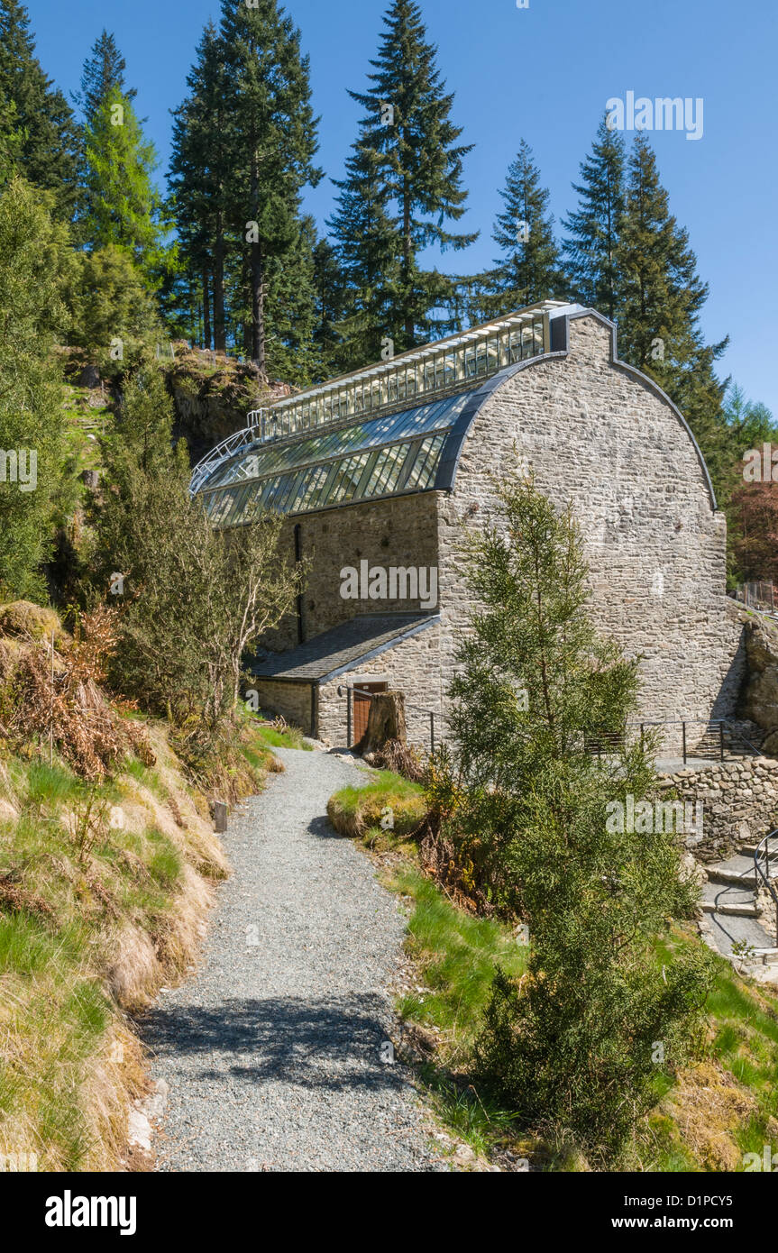 Fernery Benmore Gardens nr Dunoon Argyll & Bute Scozia Scotland Foto Stock