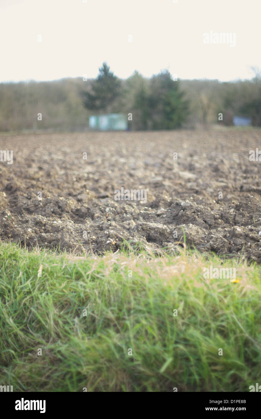 Terreni agricoli rurali nel nord della Francia Foto Stock