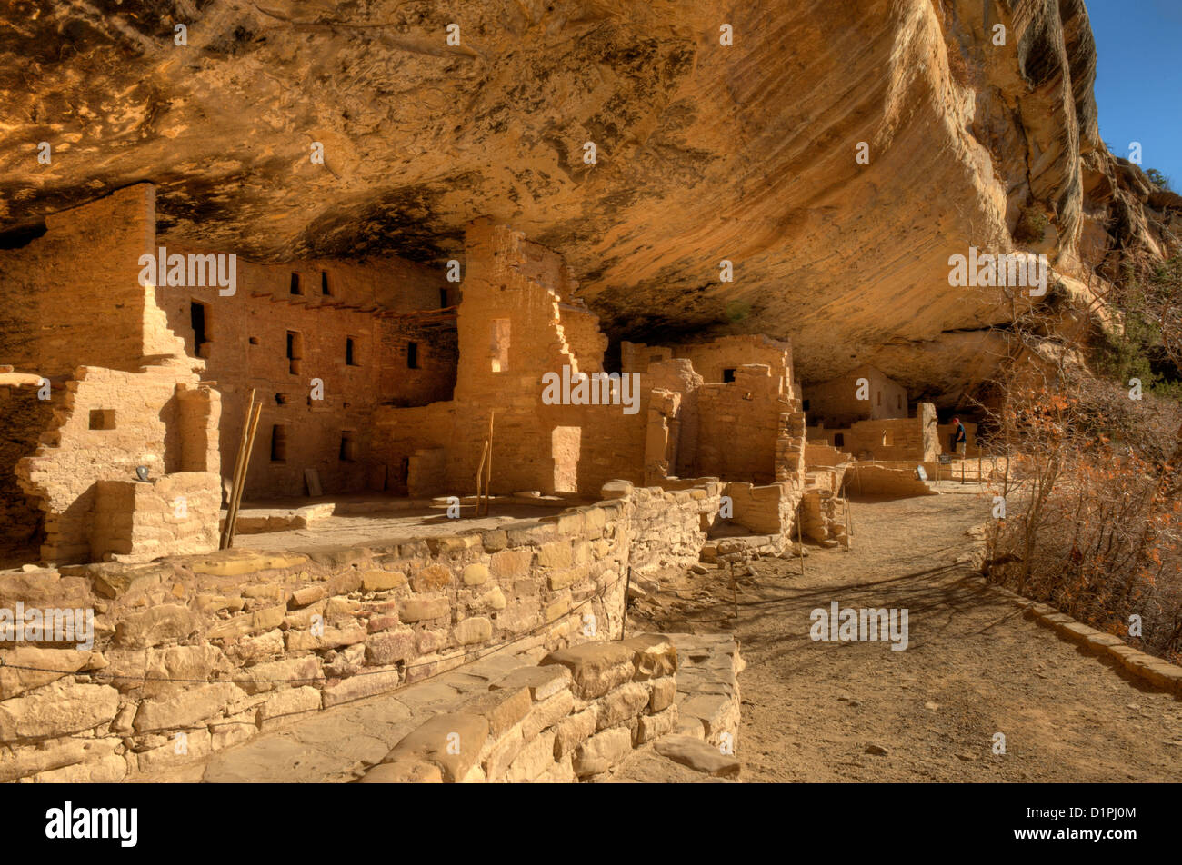 La collezione di cliff dwellings che il Parco Assistenza ha soprannominato "Tree House' a Mesa Verde National Park, COLORADO Foto Stock