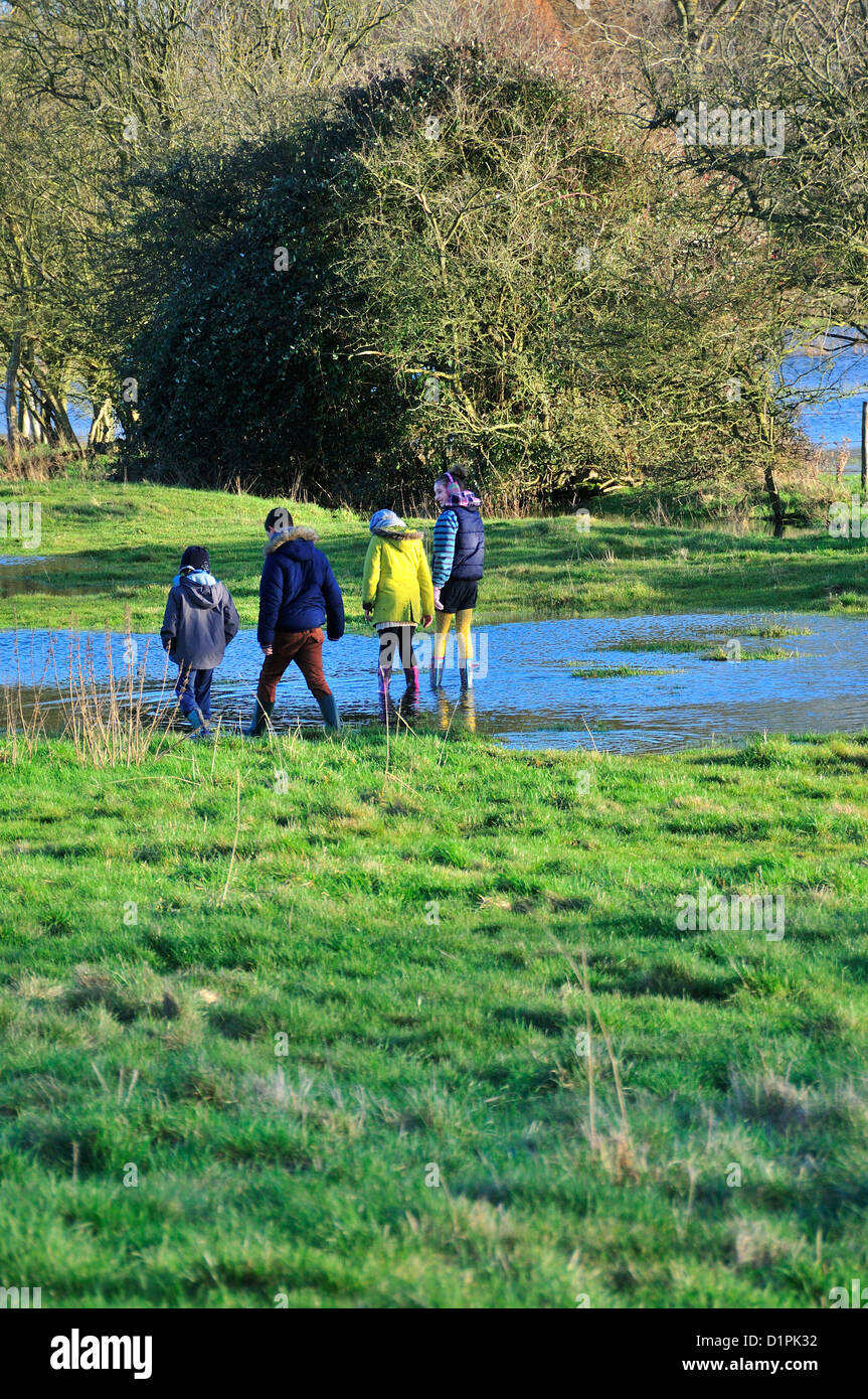 Quattro bambini (vista posteriore) su un primo giorno del nuovo anno camminando accanto al fiume allagata Windrush , tra Burford e Swinbrook, Cotswolds, Oxon, Regno Unito Foto Stock