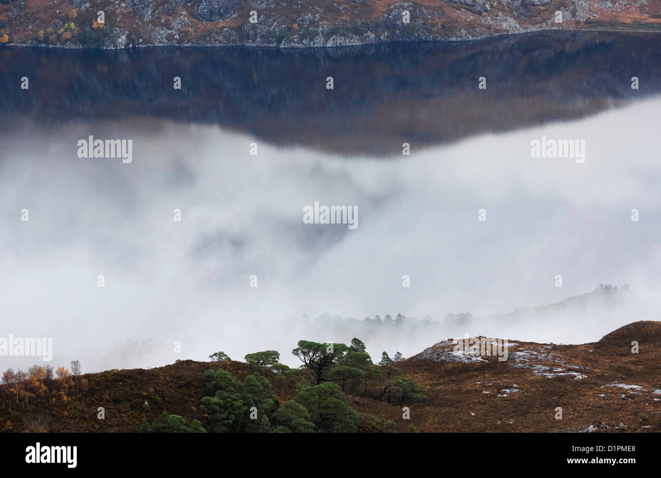 Pino silvestre alberi a na Coille Glas-Leitire con riflessioni di Sgurr Dubh in Loch Maree nelle Highlands Scozzesi. Foto Stock