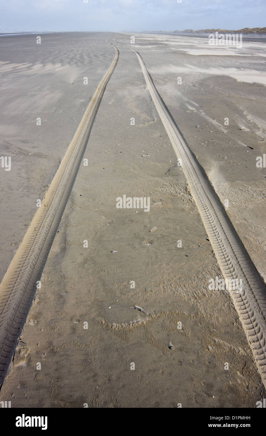 Auto tracce nella sabbia, che conduce verso l'orizzonte Foto Stock