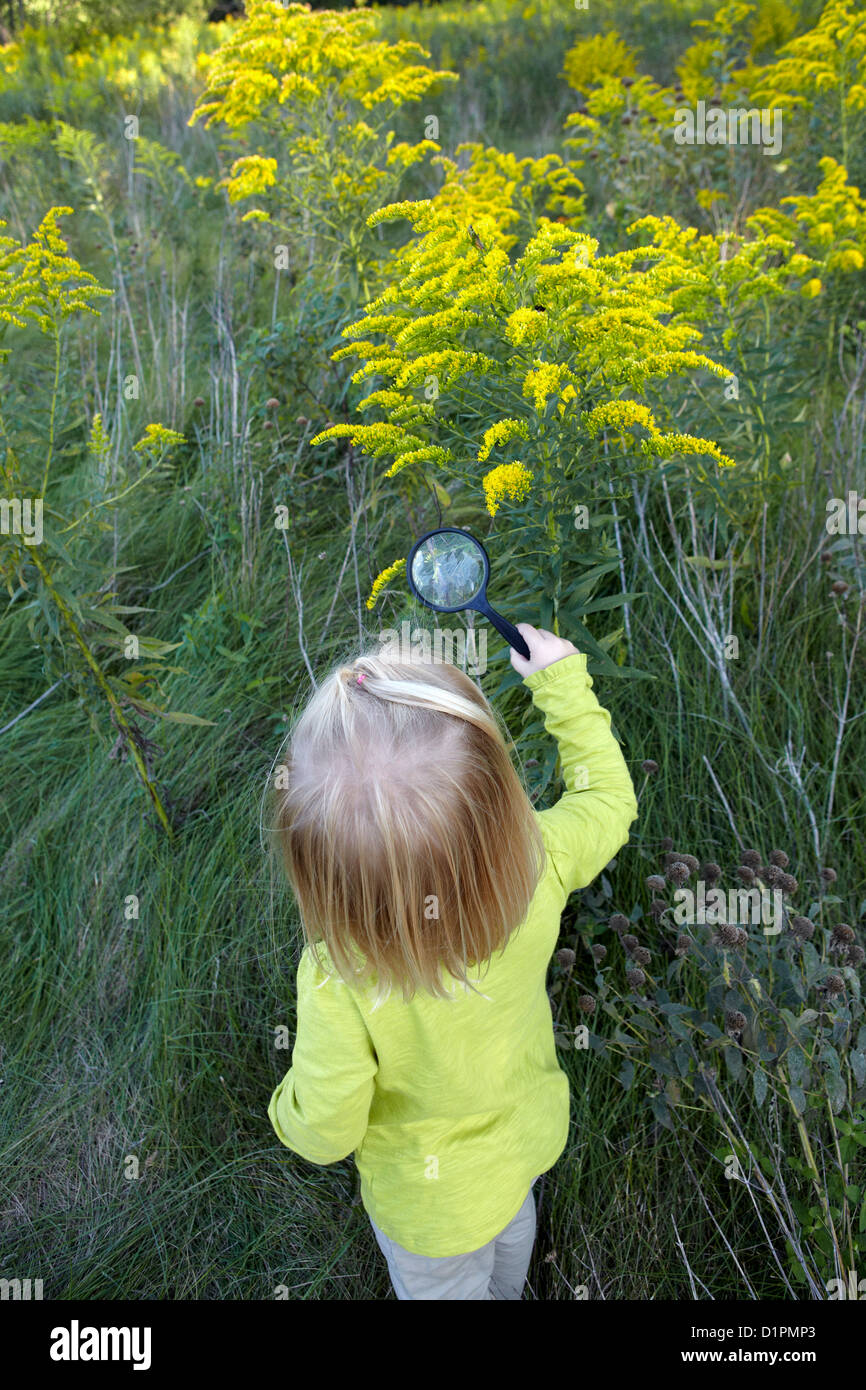Ragazza esaminando fiore nel campo con lente di ingrandimento Foto Stock