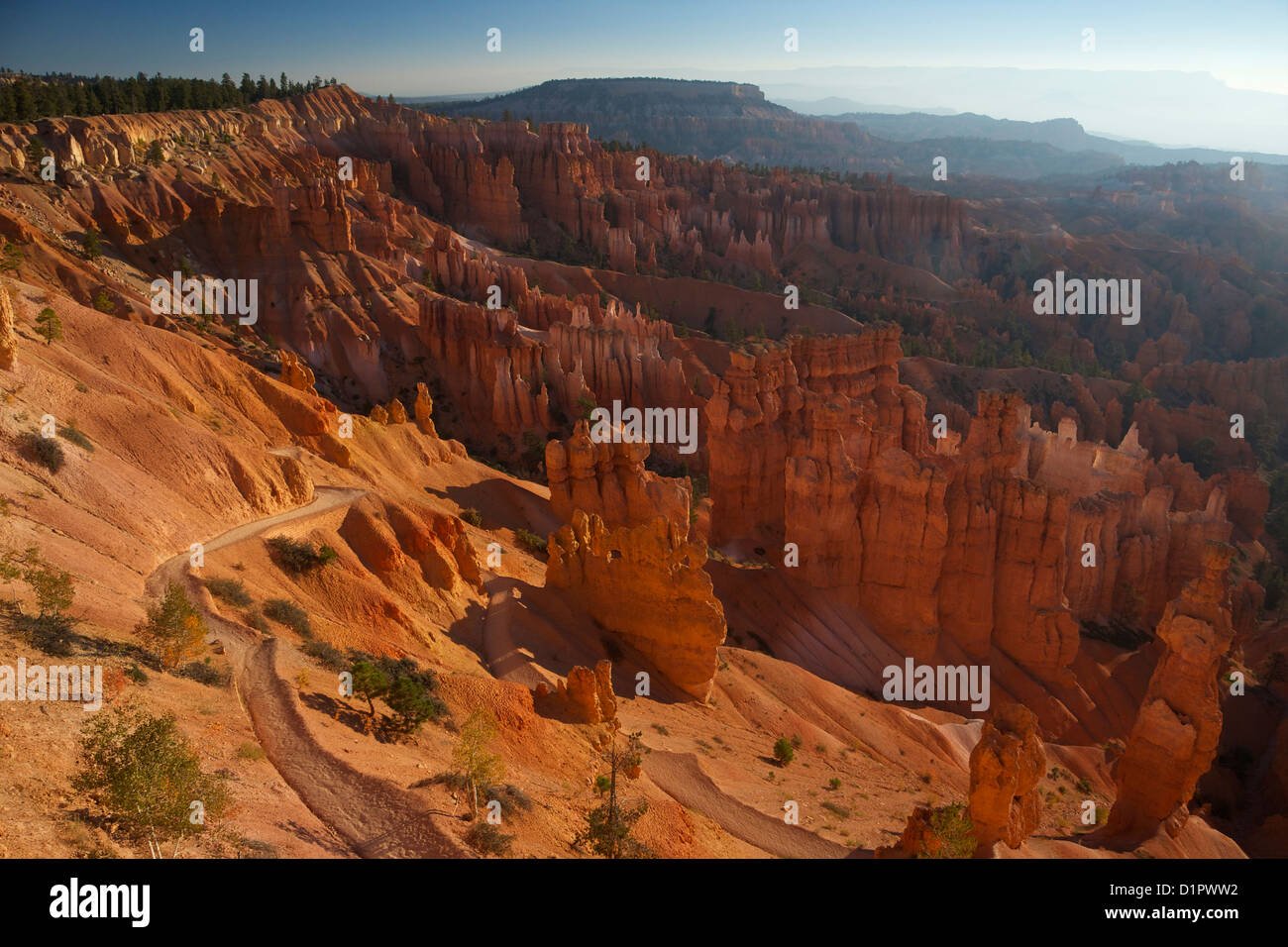 La mattina presto dal punto di tramonto, Parco Nazionale di Bryce Canyon, Utah, Stati Uniti d'America Foto Stock