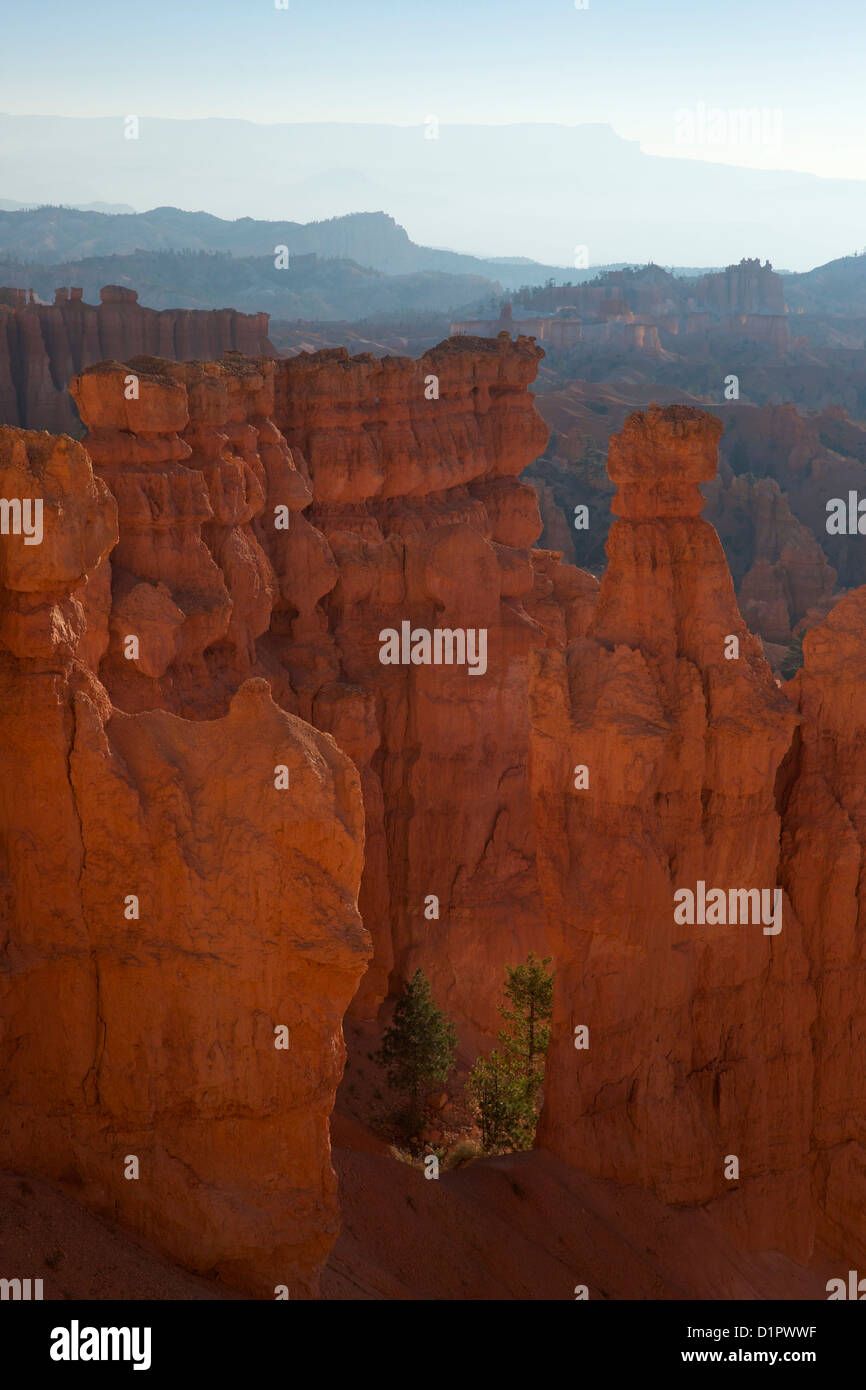 La mattina presto dal punto di tramonto, Parco Nazionale di Bryce Canyon, Utah, Stati Uniti d'America Foto Stock