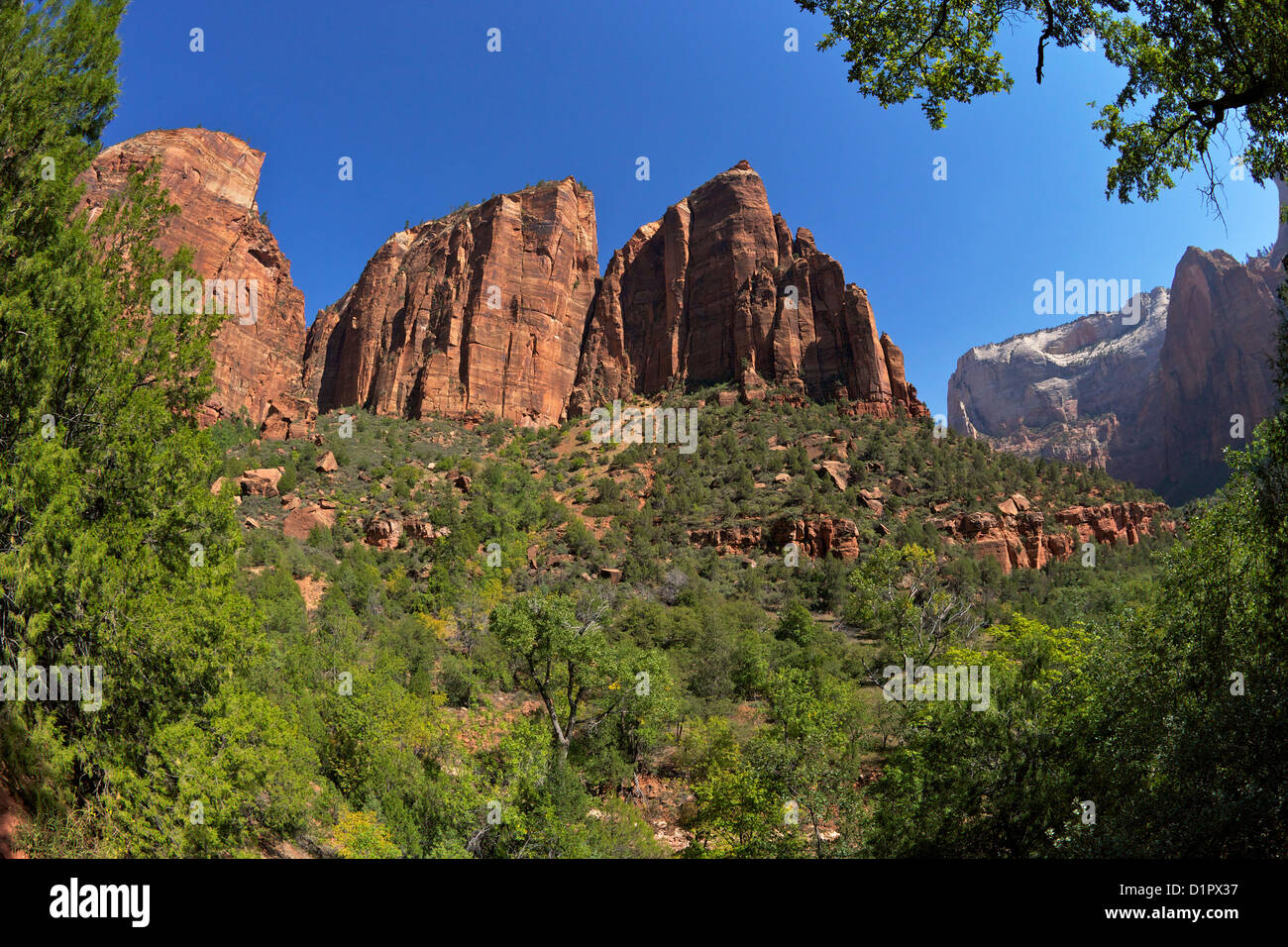 Picchi in prossimità di Sion Lodge, Smeraldo Piscine Trail, Parco Nazionale Zion, Utah, Stati Uniti d'America Foto Stock