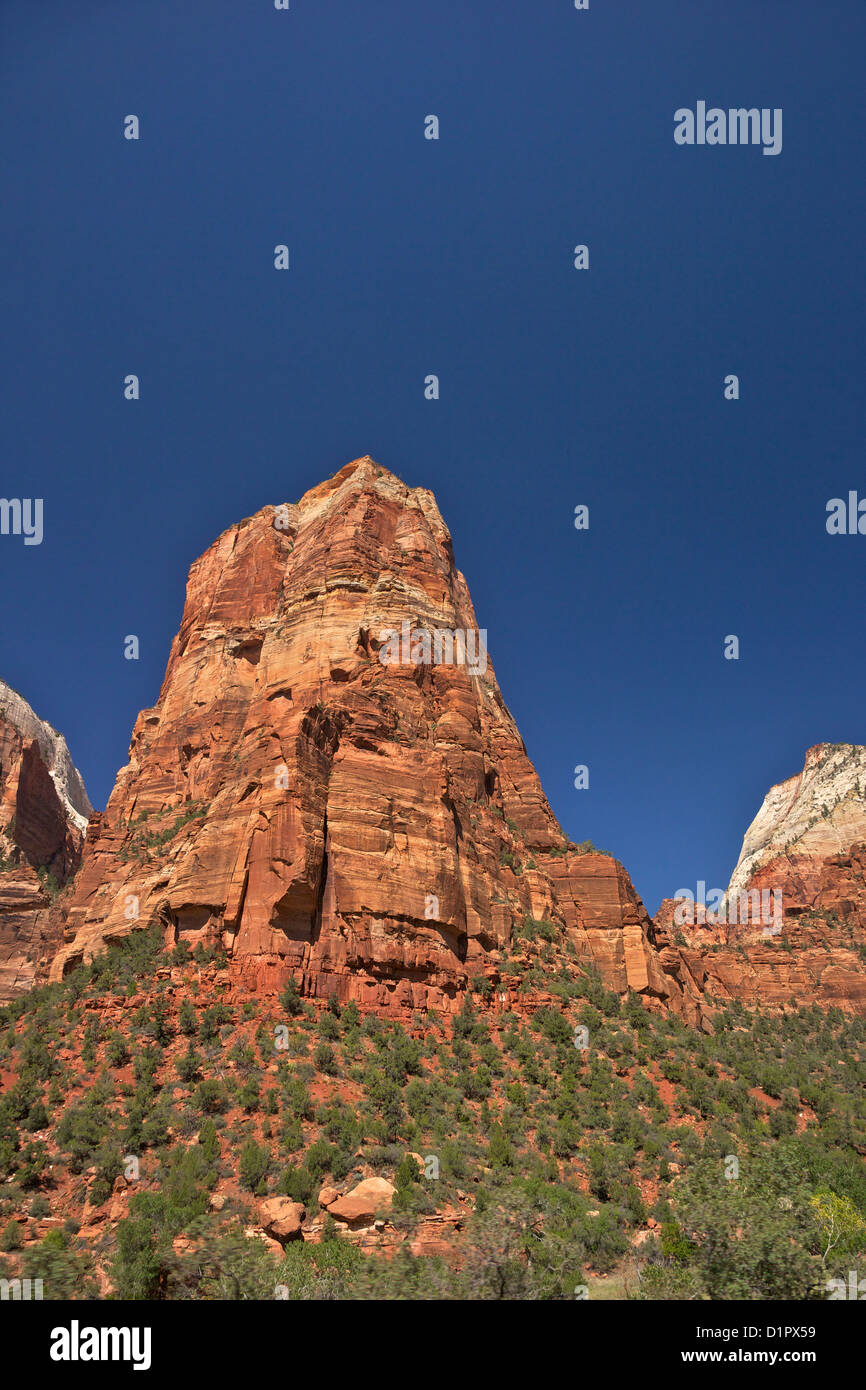 Picchi in prossimità di Sion Lodge, Smeraldo Piscine Trail, Parco Nazionale Zion, Utah, Stati Uniti d'America Foto Stock
