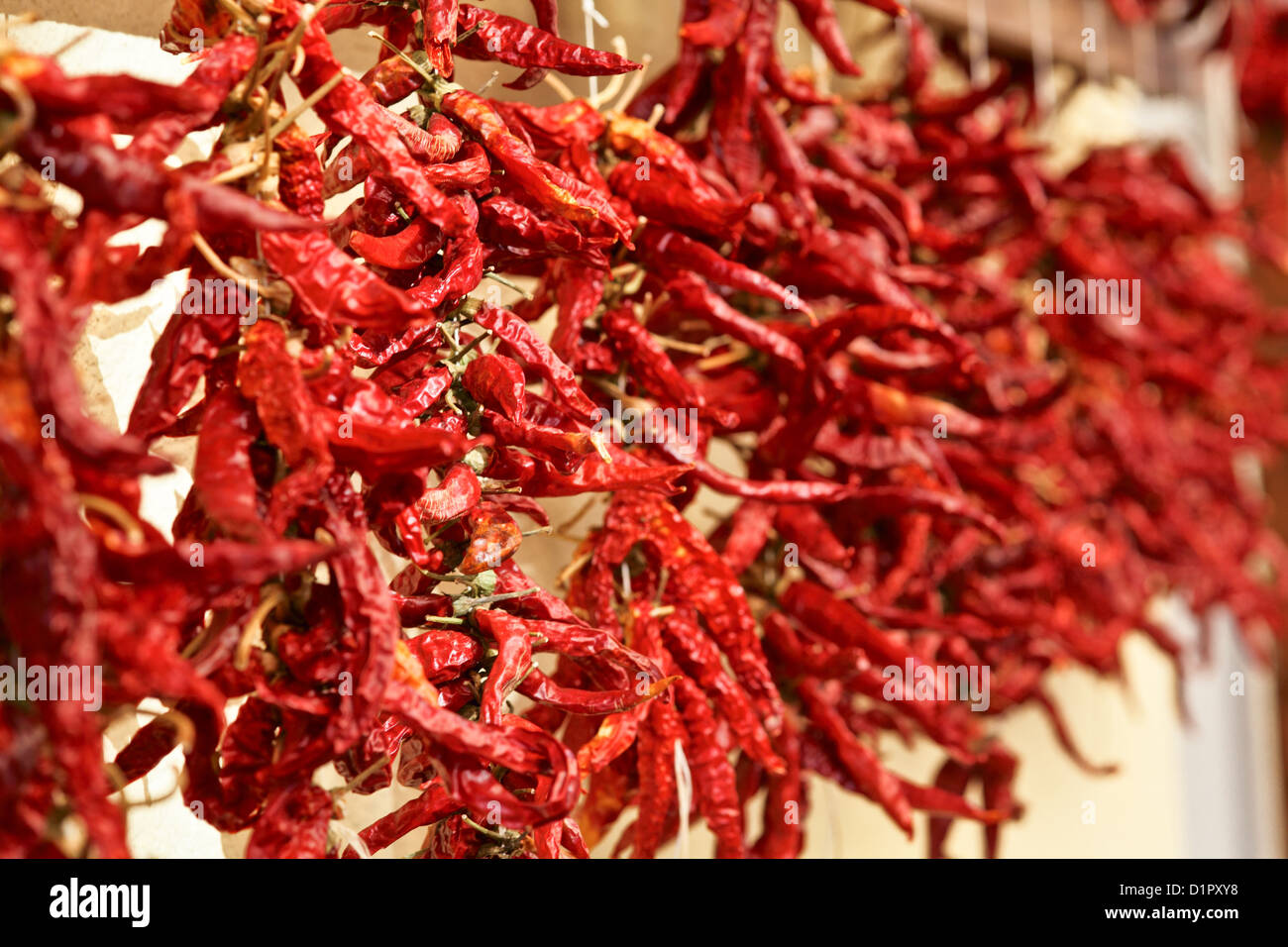 Red Hot peperoncino sfondo Foto Stock