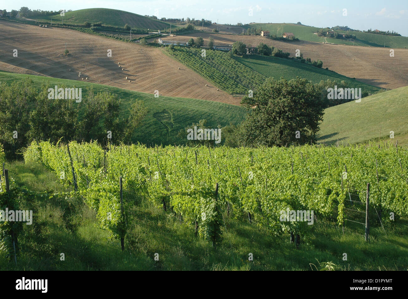 L'Italia, la campagna in Bologna la provincia Foto Stock L'Italia, la campagna in Bologna la provincia Foto Stock