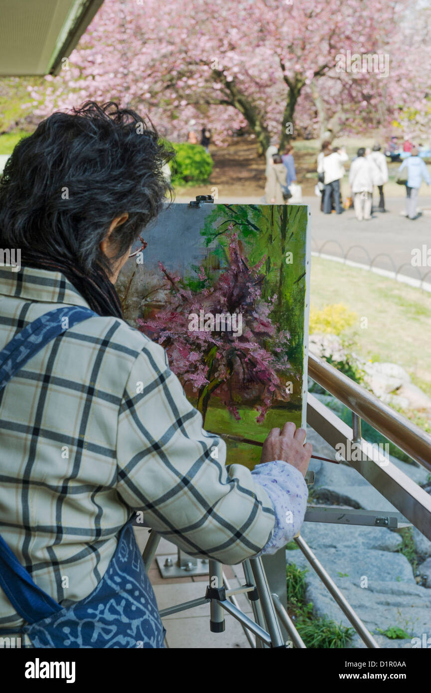 La donna la pittura di fiori di ciliegio alberi in fiore a Shinjuku Gyoen il Giardino Nazionale, nel Parco di Shinjuku. Foto Stock