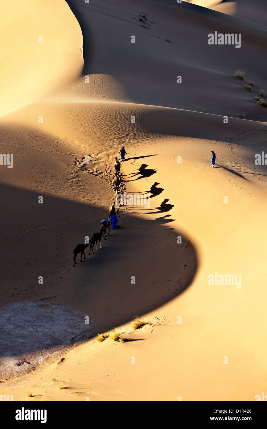 Il Marocco, M'Hamid, Erg Chigaga dune di sabbia. Deserto del Sahara. I driver del cammello e camel caravan. Foto Stock