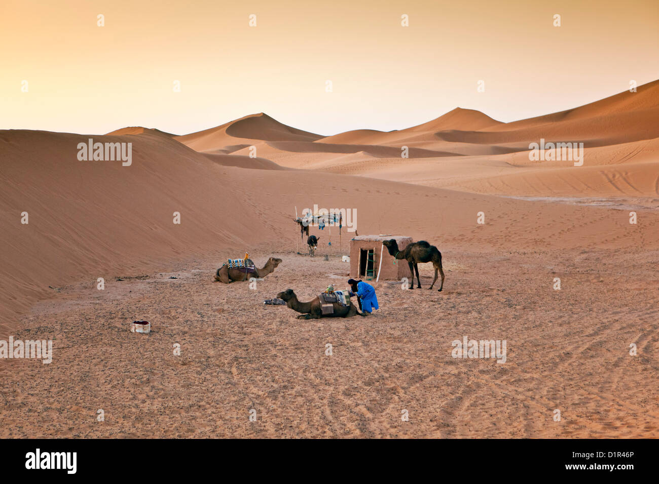 Il Marocco, M'Hamid, Erg Chigaga dune di sabbia. Deserto del Sahara. Bivacco del camel-driver. Foto Stock
