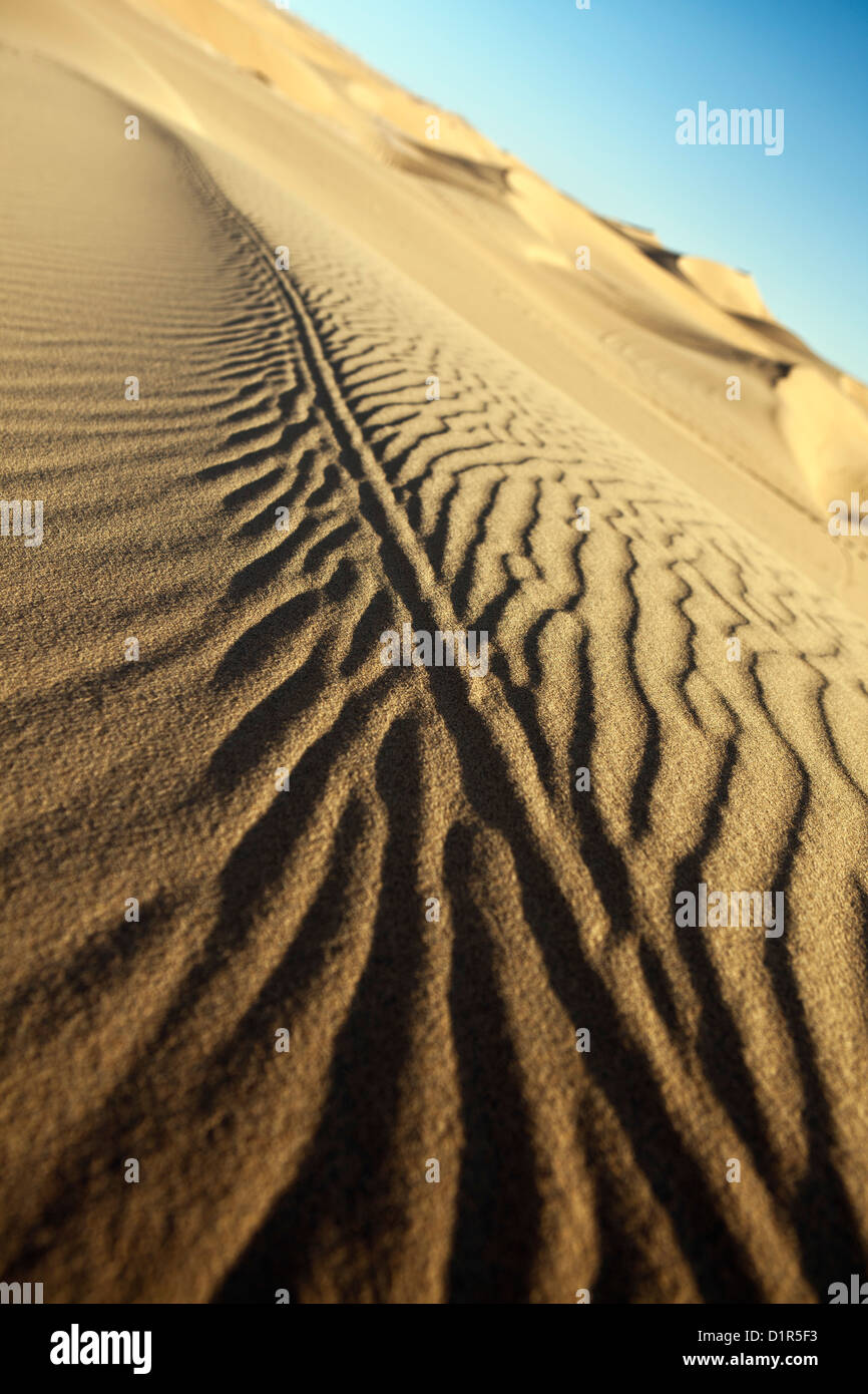 Il Marocco, M'Hamid, Erg Chigaga dune di sabbia. Deserto del Sahara. Dettaglio ripple marks. Foto Stock