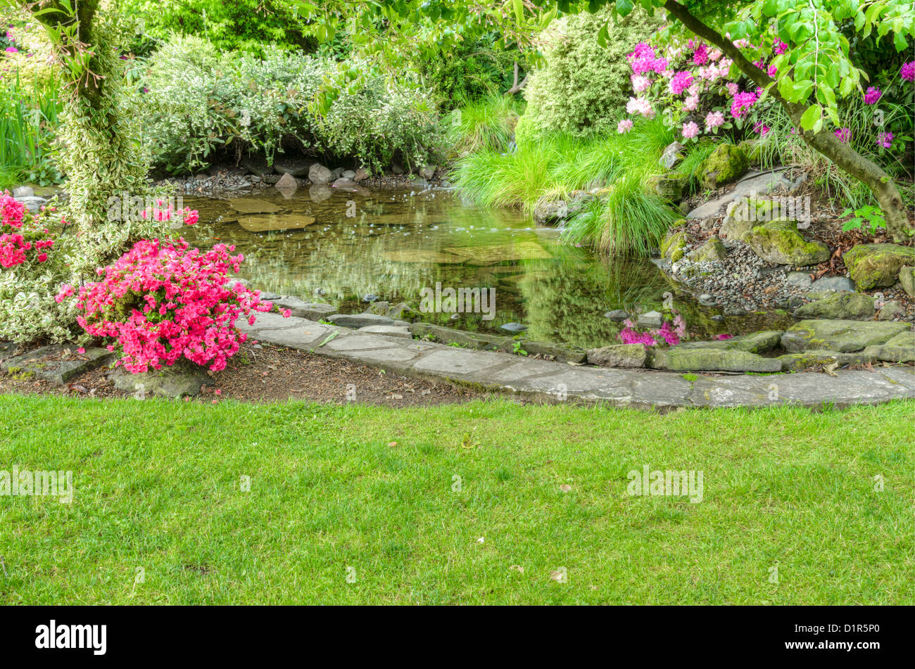 Un giardino in scena con la fioritura azalee e uno stagno di pesci Foto Stock