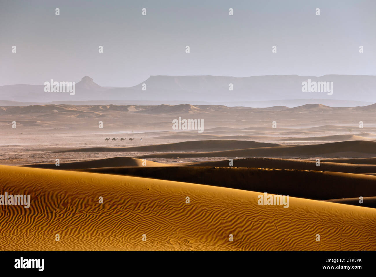 Il Marocco, M'Hamid, Erg Chigaga dune di sabbia. Deserto del Sahara. Foto Stock