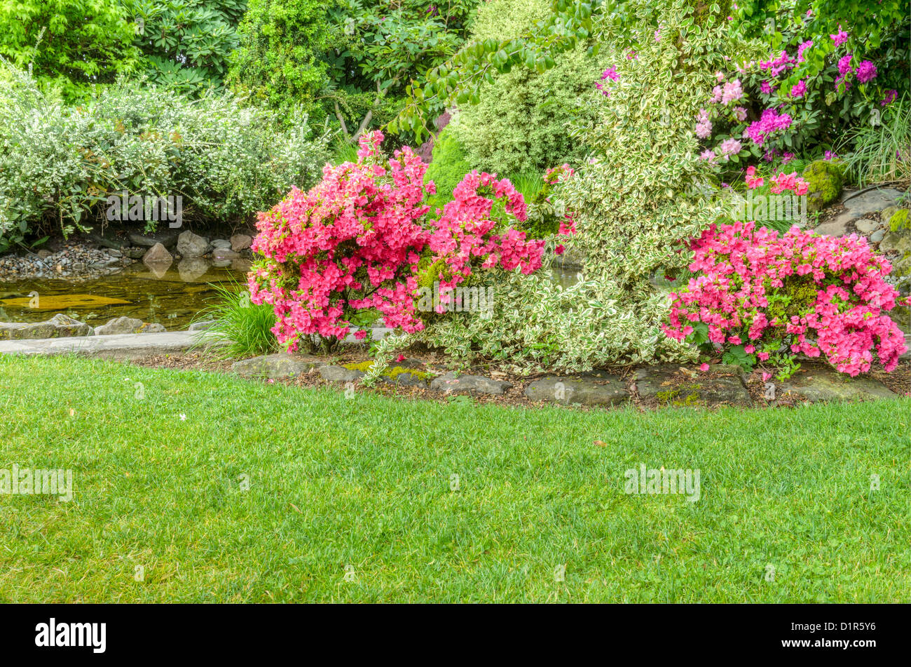 Una scena del giardino con rigogliosi cespugli di azalea e un pool Foto Stock