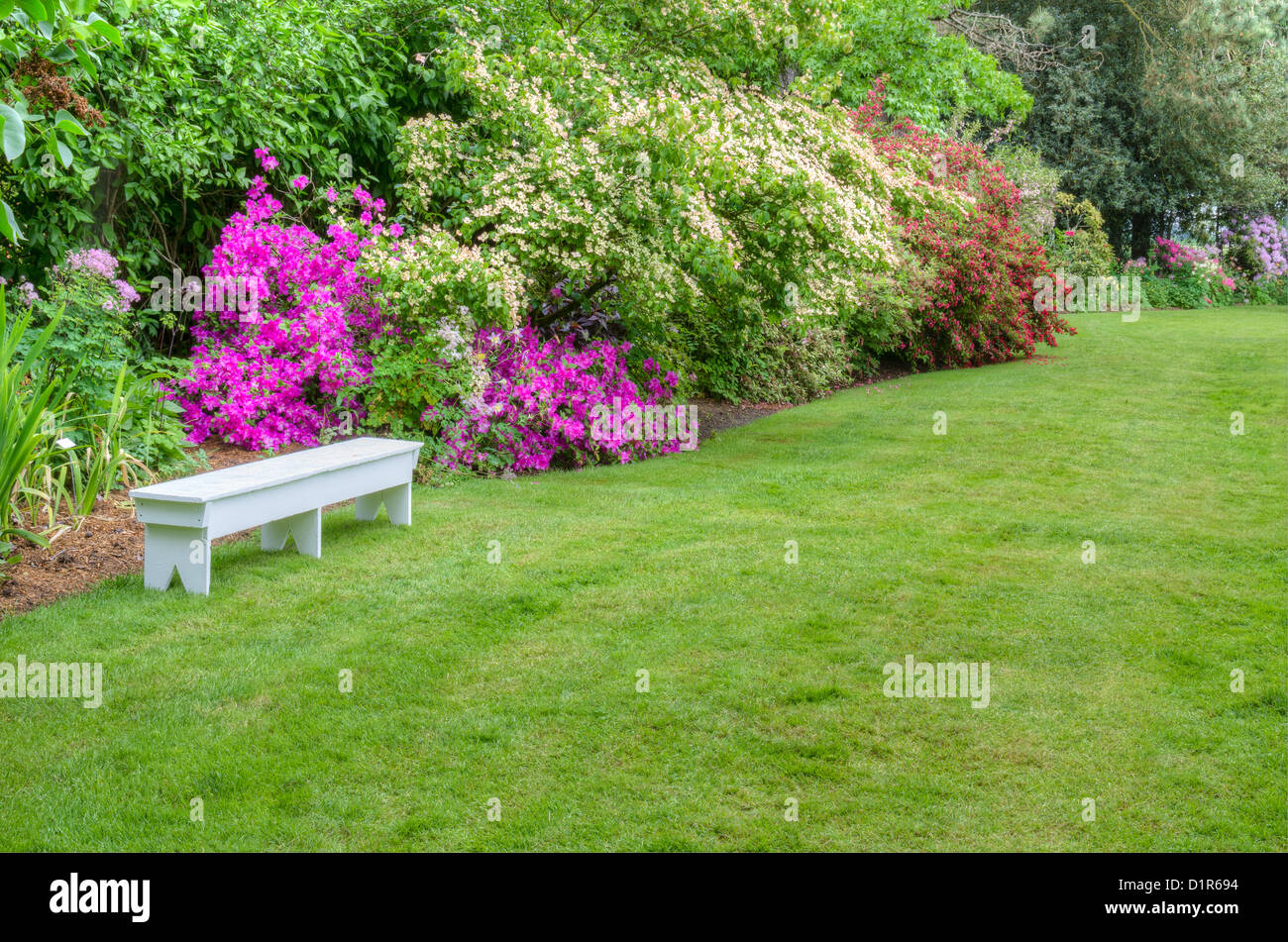Un giardino in scena con la fioritura azalee e un banco di bianco Foto Stock