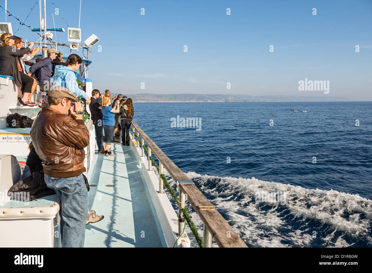 Whale watching al largo di Newport Beach in California. Foto Stock